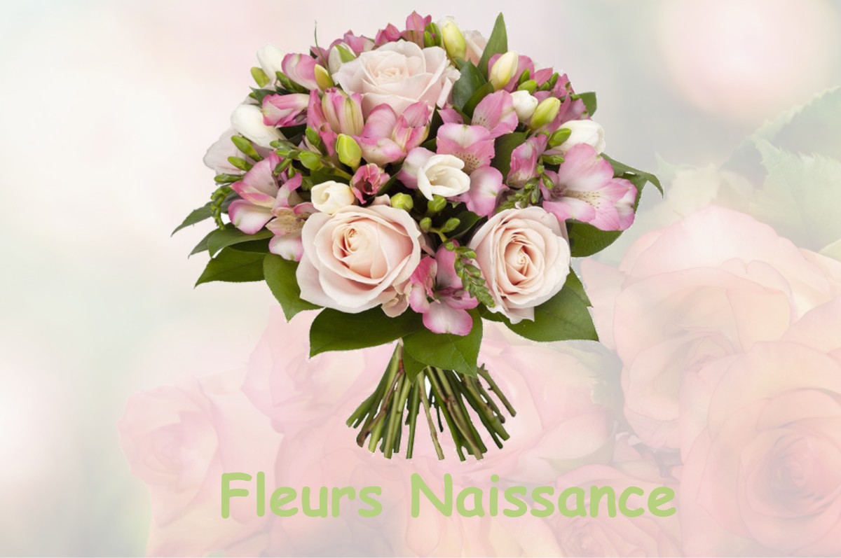 fleurs naissance CHATONNAY